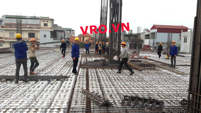 3DPanelVRO-san-loi-rong-khong-dam