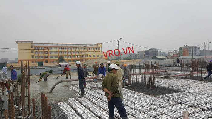 sàn-nấm-vro