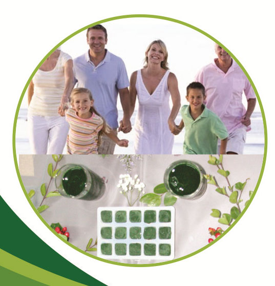 Tảo Spirulina – siêu thực phẩm