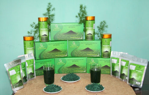 Tảo Spirulina - thực phẩm bảo vệ sức khoẻ hoàn toàn tự nhiên