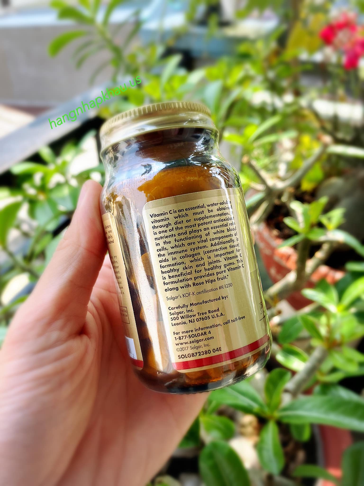 Viên uống Vitamin C kết hợp Tinh chất Nụ Tầm xuân Solgar Vitamin C 500 ...