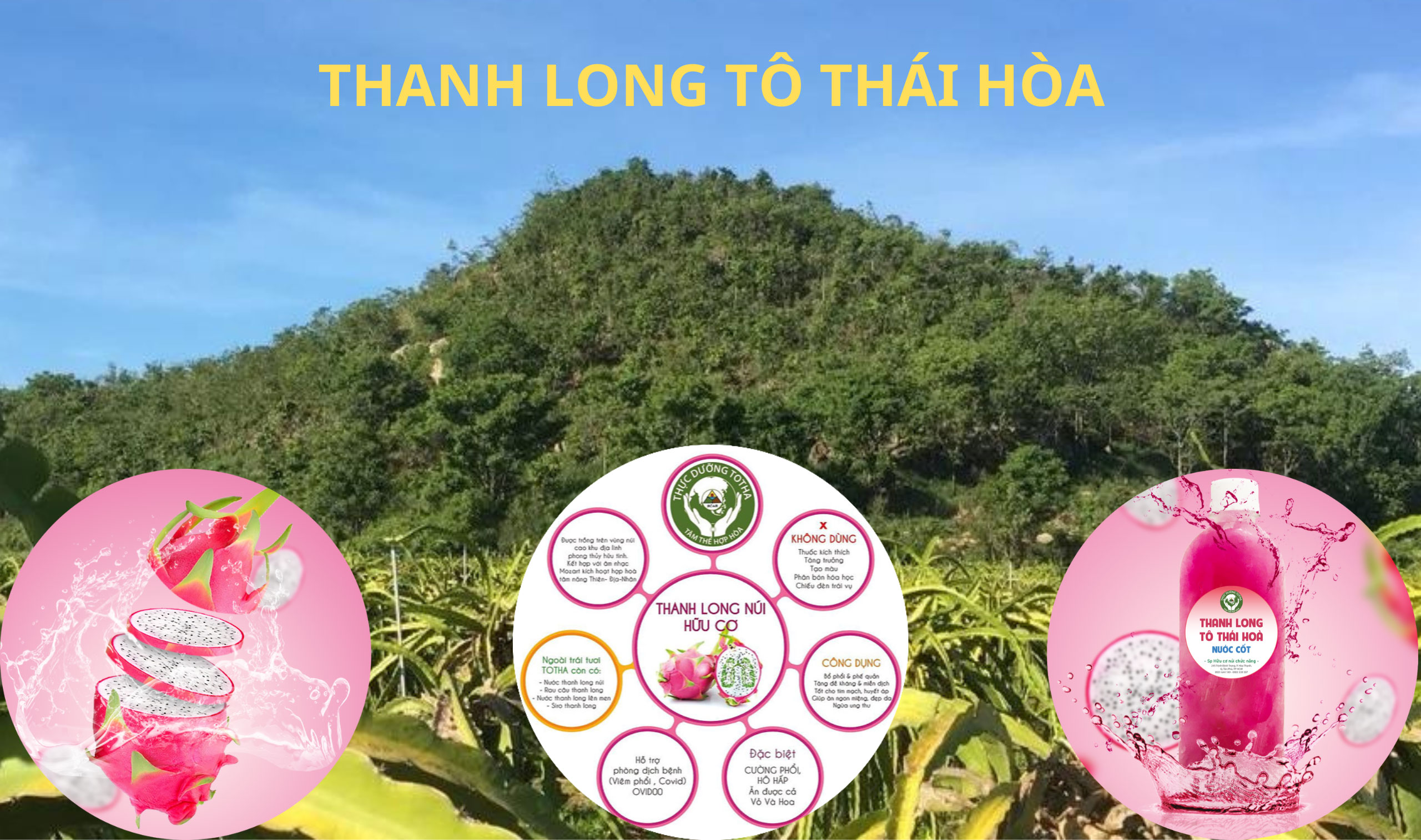 TOTHA | Thực Dưỡng Sạch Chức Năng | Sức khỏe là Vàng