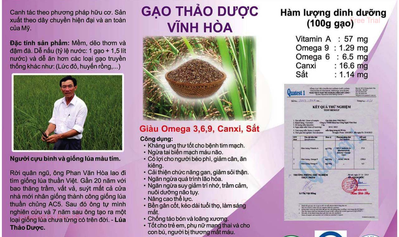 TOTHA | Thực Dưỡng Sạch Chức Năng | Sức khỏe là Vàng