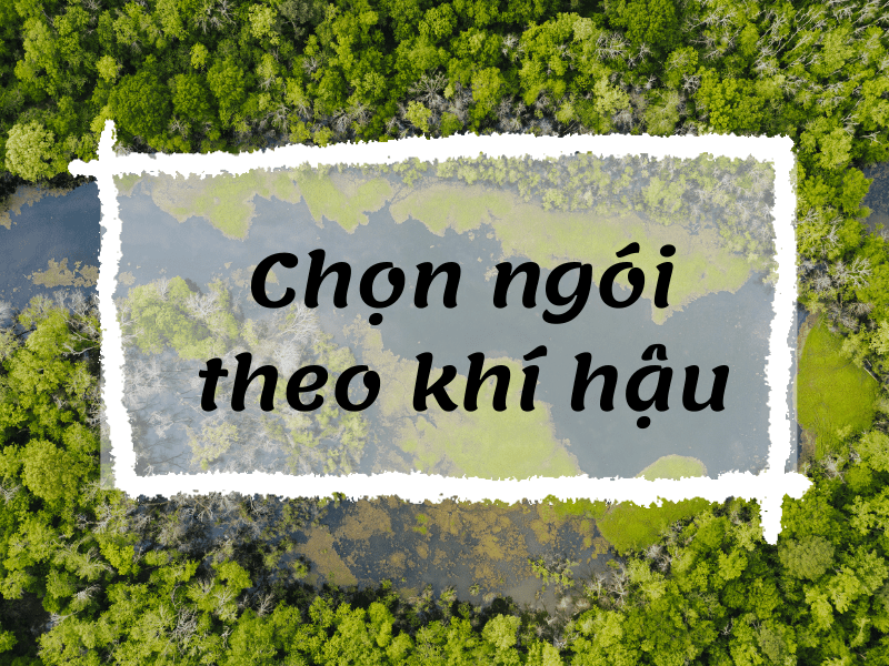 Chọn ngói theo khí hậu