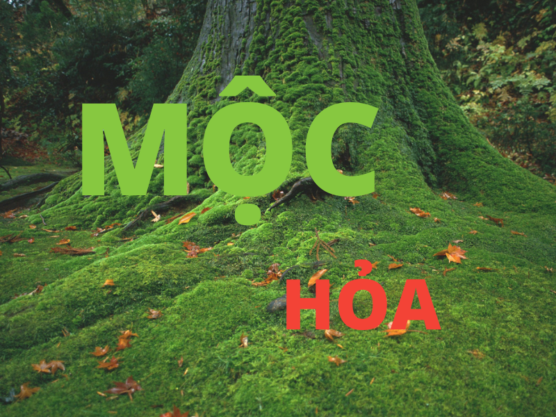 Mệnh Mộc và Hỏa hợp ngói xanh rêu