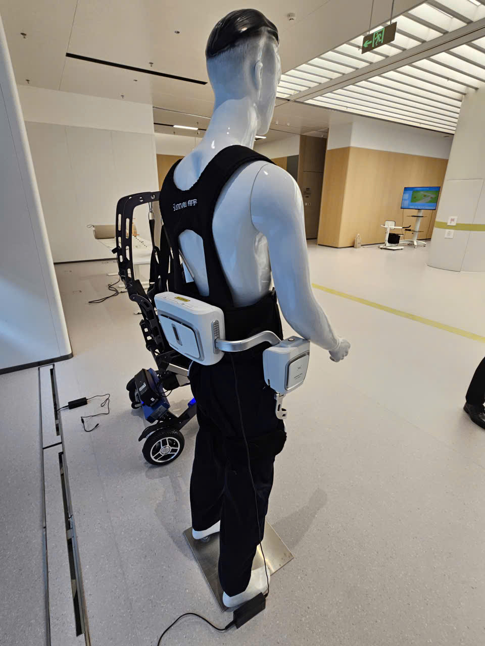 Phục hồi sau đột quỵ: Chức năng nào khó phục hồi nhất và vì sao?