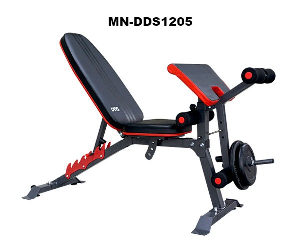 Ghế tập Gym đa năng DDS-1205