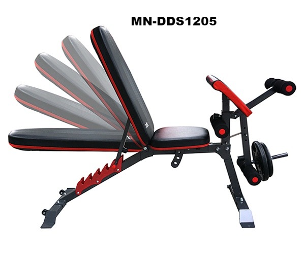 Ghế tập Gym đa năng DDS-1205