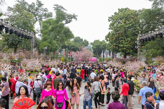 Nhiều nét mới tại Lễ hội hoa Anh đào Nhật Bản-Hà Nội năm 2019