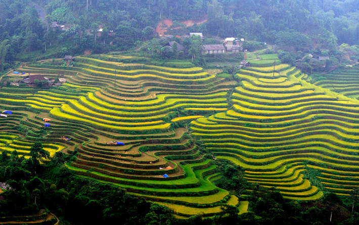 Tuần Văn hóa Du lịch “Qua miền Di sản ruộng bậc thang Hoàng Su Phì” năm 2018