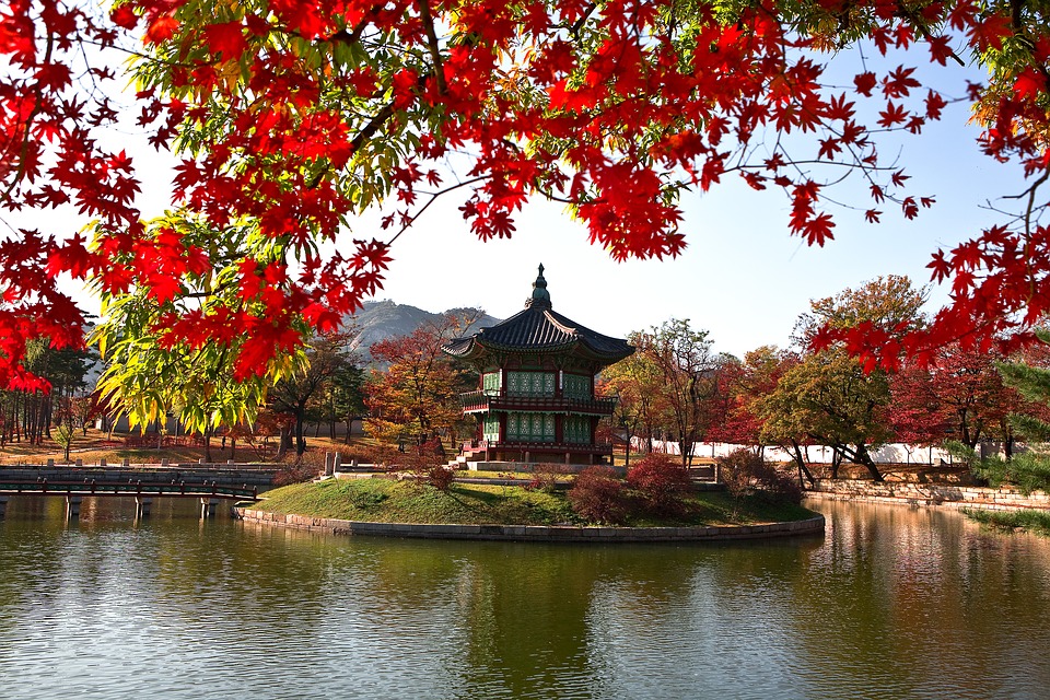 Khám phá Seoul, đảo Nami trữ tình và công viên Everland nổi tiếng 5n4d chỉ 11.990.000 đồng