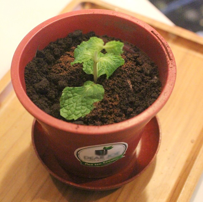 Phát cuồng vì 5 món ăn