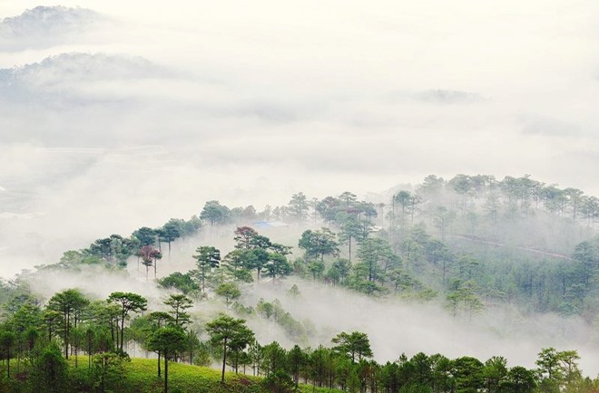 Kinh nghiệm du lịch Đà Lạt