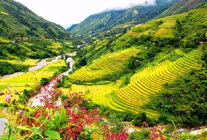 Tháng 3 du lịch Sapa, đừng bỏ lỡ những điểm check-in tuyệt đẹp