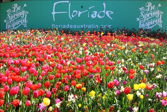 Du lịch Úc - Lễ hội hoa Floriade