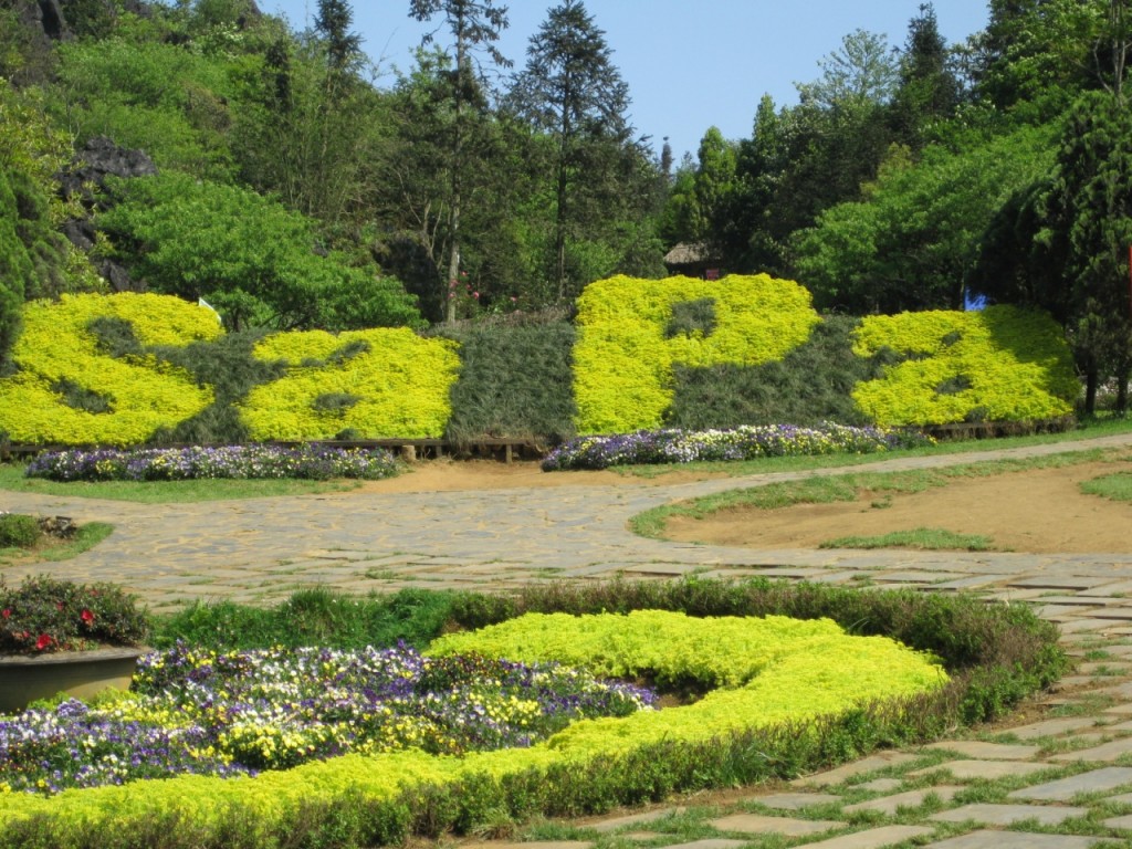 Cẩm nang du lịch Sapa