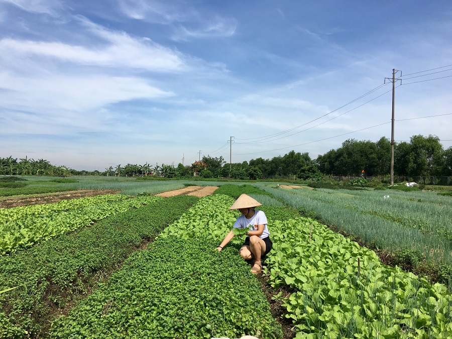 TOUR DU LỊCH “TÂY LÀM NÔNG NGHIỆP”