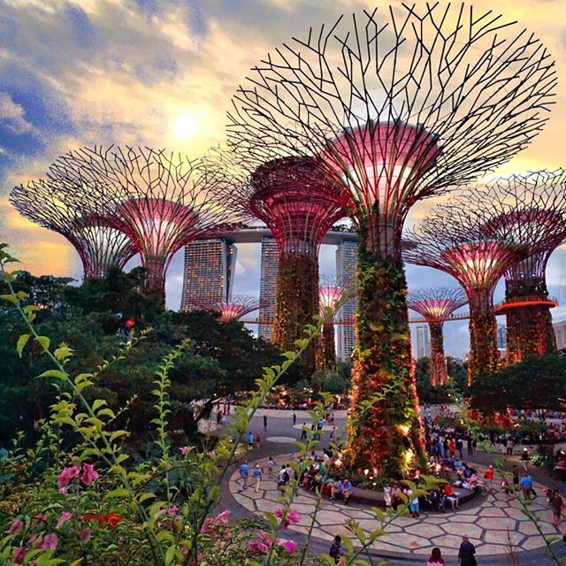 gardens by the bay singapore