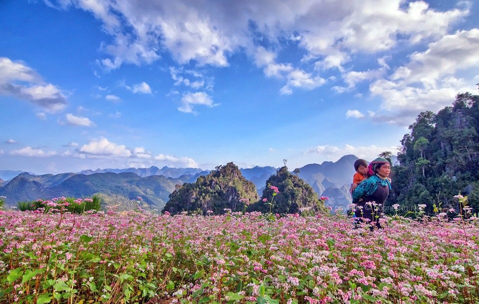 tam giác mạch hà giang 1