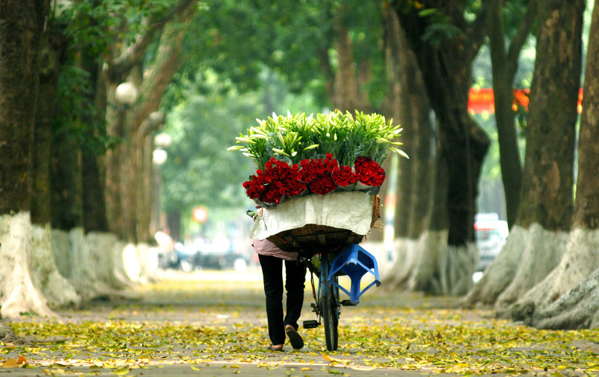 mùa thu hà nội