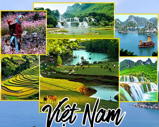 việt nam