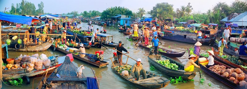 chợ nổi cà mau