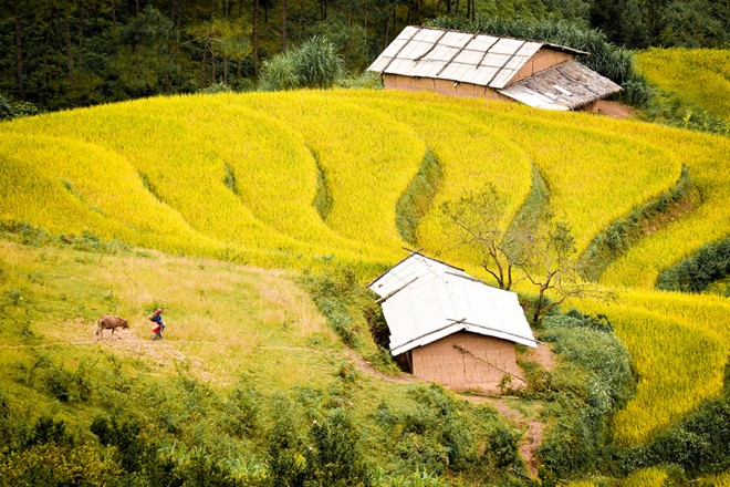 Mùa thu Hà Giang