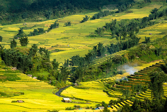 mùa thu ở Lào Cai