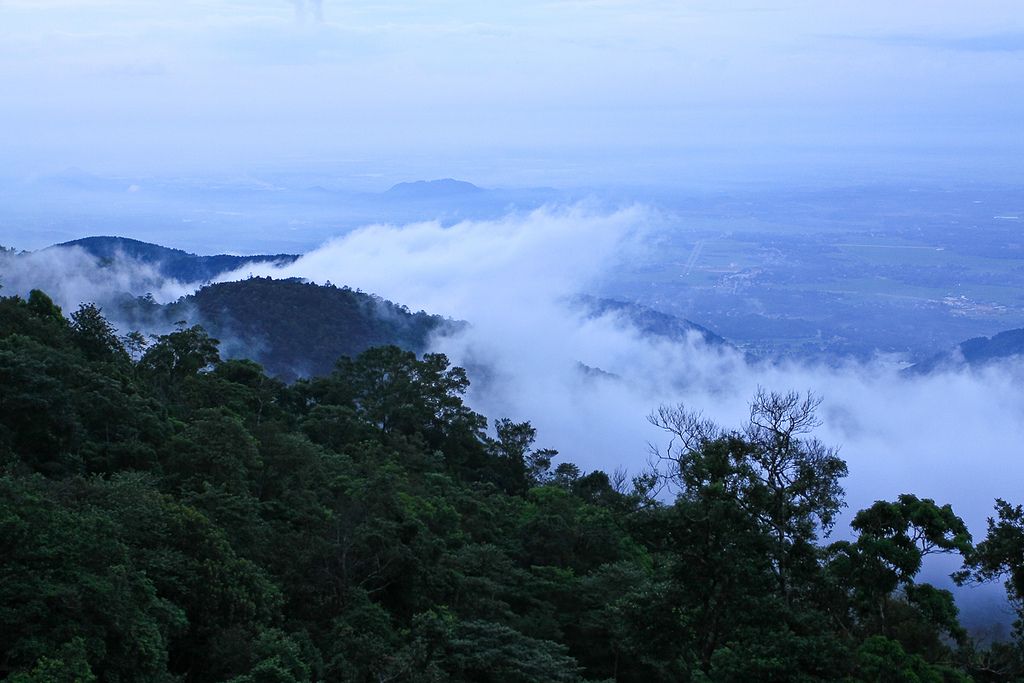 tam đảo