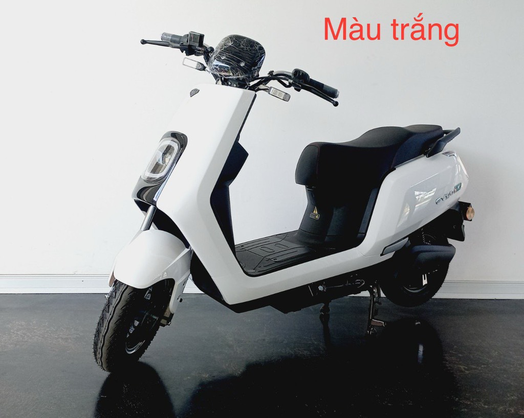 Xe máy điện Evgo D1 (chưa kèm Bình)