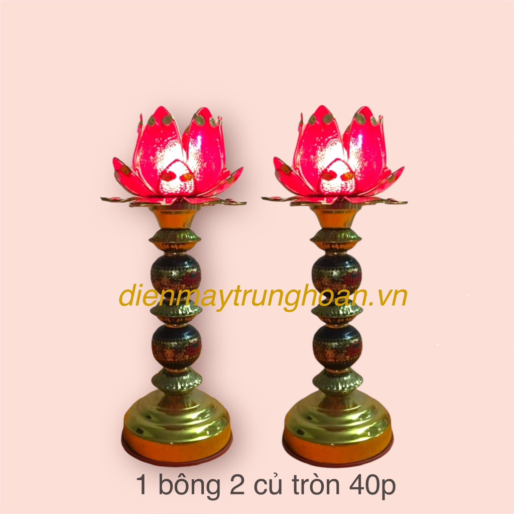 đèn thờ 1 bông  2 củ tròn 40P (HP)