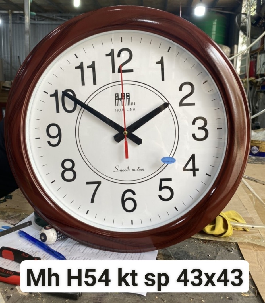 Đồng hồ Hoa Linh H54
