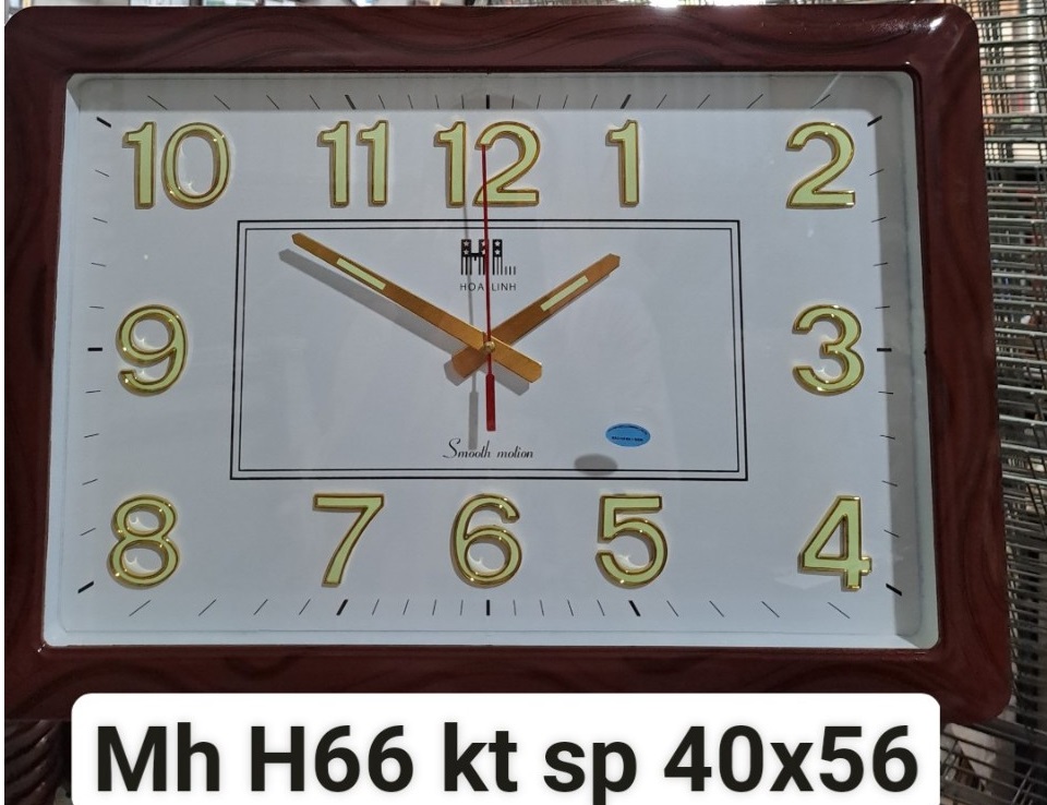 Đồng hồ Hoa Linh H66