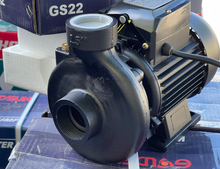 máy bơm nước Goldsun GS22/750W