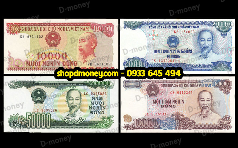 bộ tiền cotton việt nam