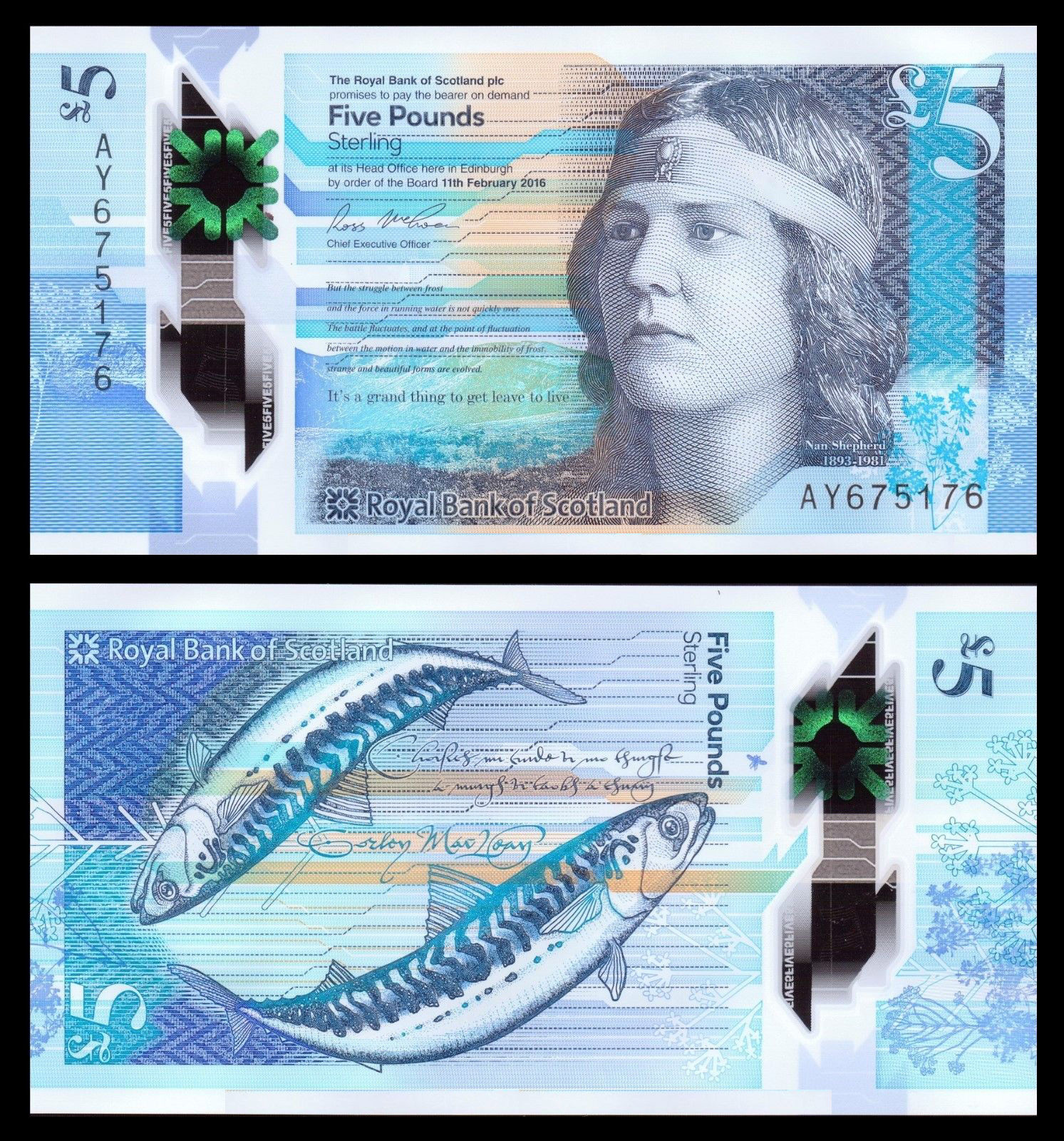 5 pounds Scotland 2016 polymer - Royal Bank of Scotland