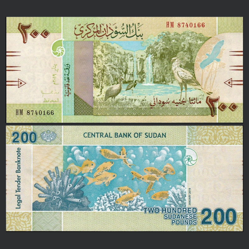 200 pounds Sudan 2019