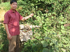 Lang y núi rừng Tạ Huy Bính, 40 năm bốc thuốc cứu người.