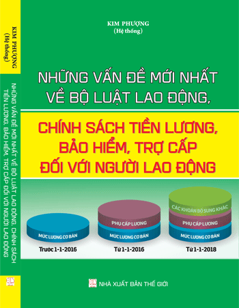 Sách Những Vấn Đề Mới Nhất Về Bộ Luật Lao Động, Chính Sách Tiền Lương, Bảo Hiểm, Trợ Cấp Đối Với Người Lao Động