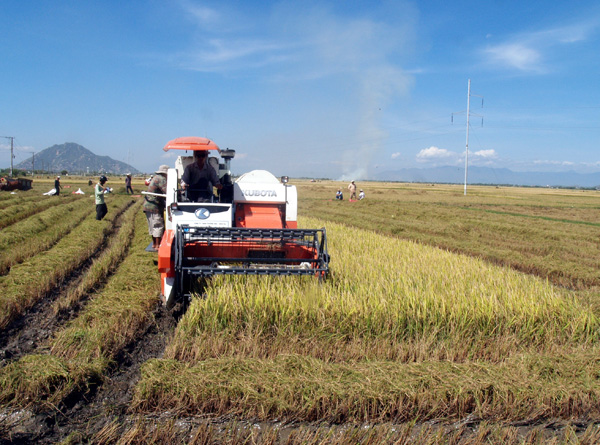 Tư vấn thành lập hợp tác xã nông nghiệp tại TP Hồ Chí Minh