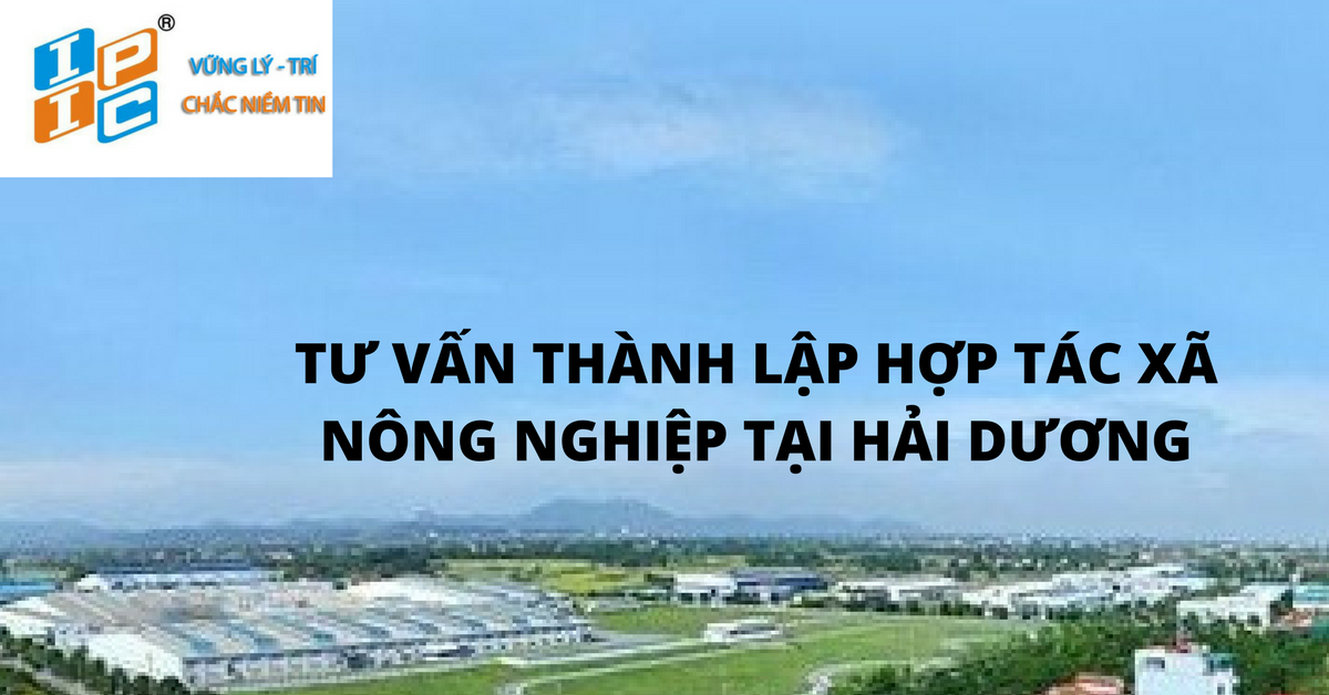 Tư vấn thành lập hợp tác xã nông nghiệp tại Hải Dương