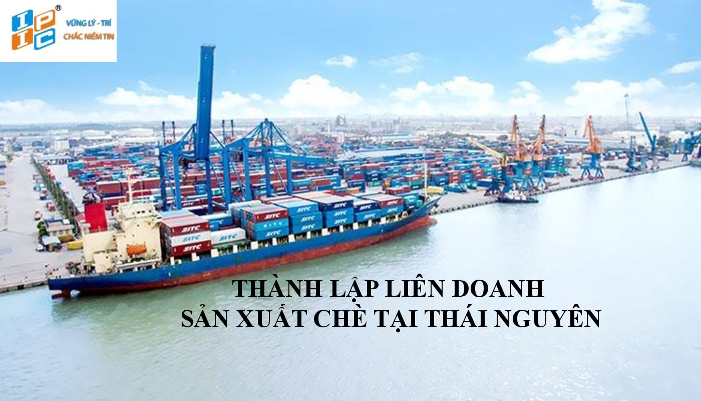 Thành lập doanh nghiệp liên doanh sản xuất chè tại Thái Nguyên