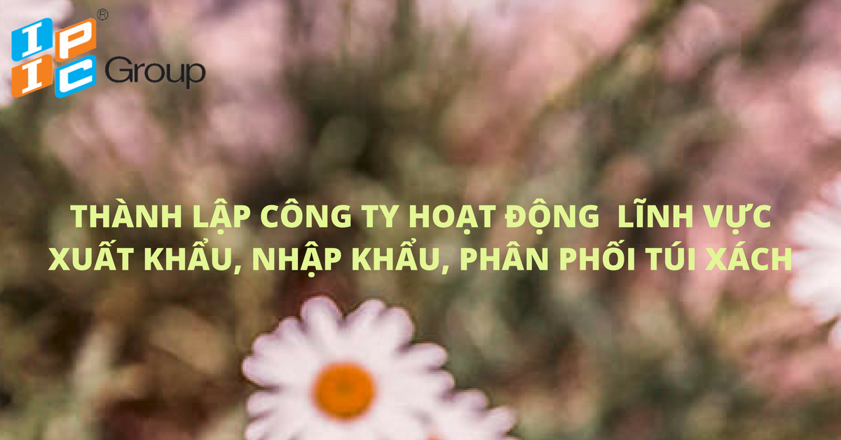 TƯ VẤN THÀNH LẬP CÔNG TY 100% VỐN ĐẦU TƯ HÀN QUỐC HOẠT ĐỘNG TRONG LĨNH VỰC XUẤT, NHẬP KHẨU VÀ PHÂN PHỐI TÚI XÁCH, LINH KIỆN, PHỤ KIỆN TÚI XÁCH