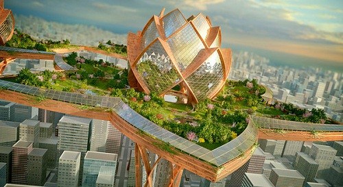 Tư vấn về việc đầu tư theo hình thức hợp đồng hợp tác kinh doanh hoạt động trong lĩnh vực xoa bóp (massage).