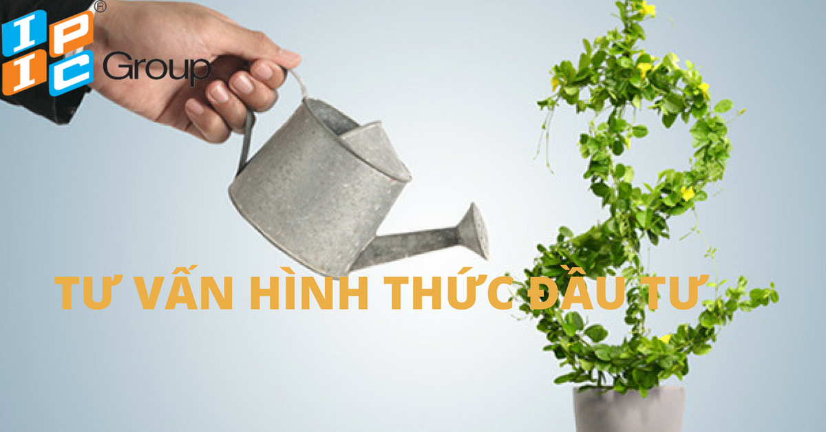 Tư vấn hình thức đầu tư