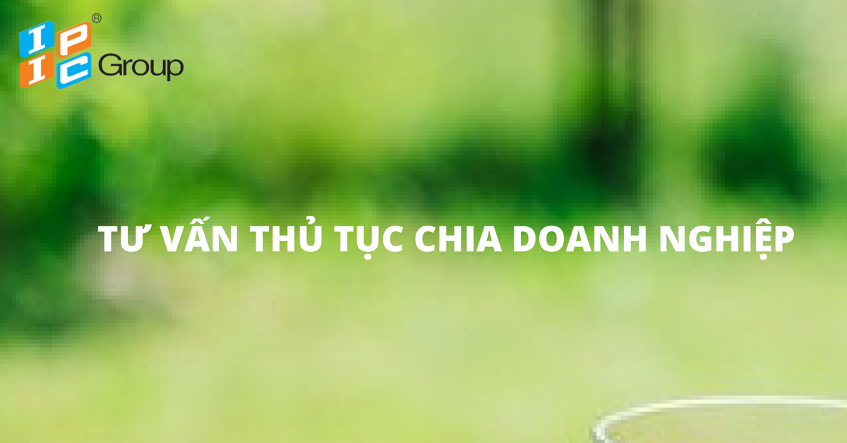 Dịch vụ tư vấn chia, tách doanh nghiệp.