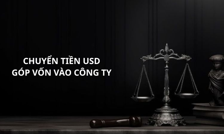 chuyen_tien_usd_gop_von_vao_cong_ty_.jpg
