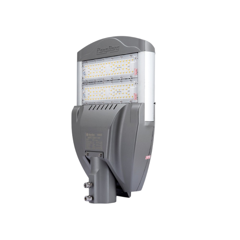 Đèn Đường Led 100W Rạng Đông CSD04