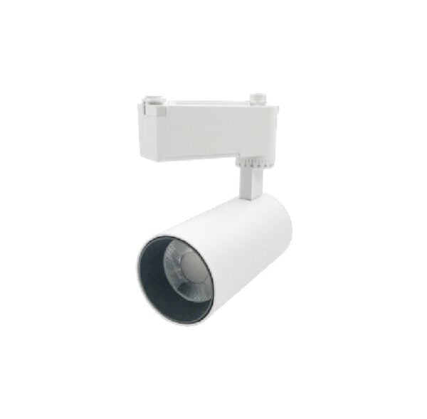 Đèn Rọi Ray 20W Paragon PSLTT20L