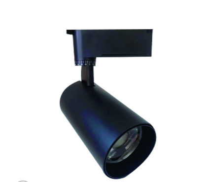 Đèn Rọi Ray 20W Paragon PSLTT20L